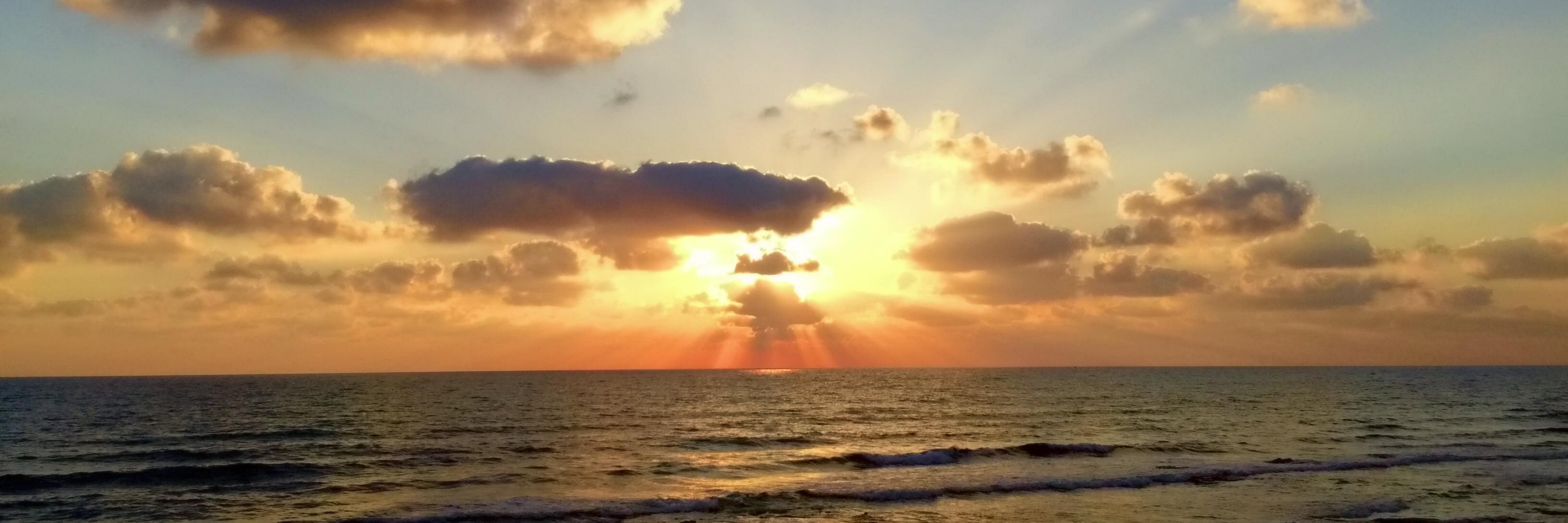 RealCameraApp's profile banner image