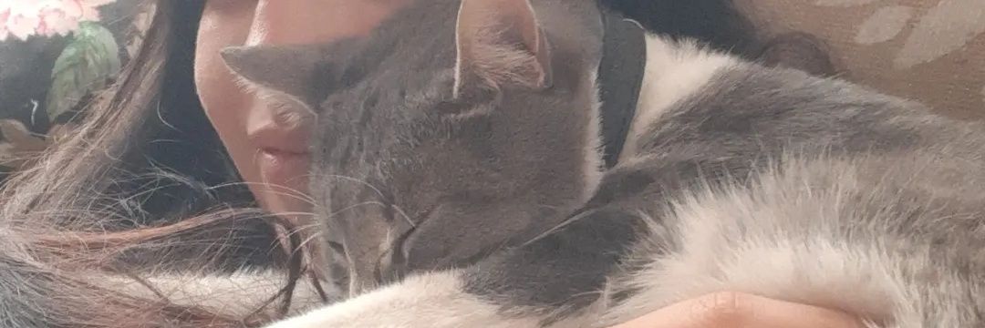BiaanLc's profile banner image
