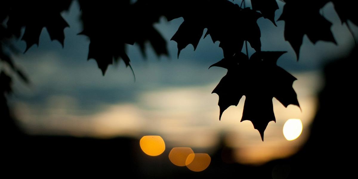 ponadav's profile banner image