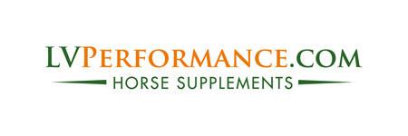 LVPERFORMANCE's profile banner image