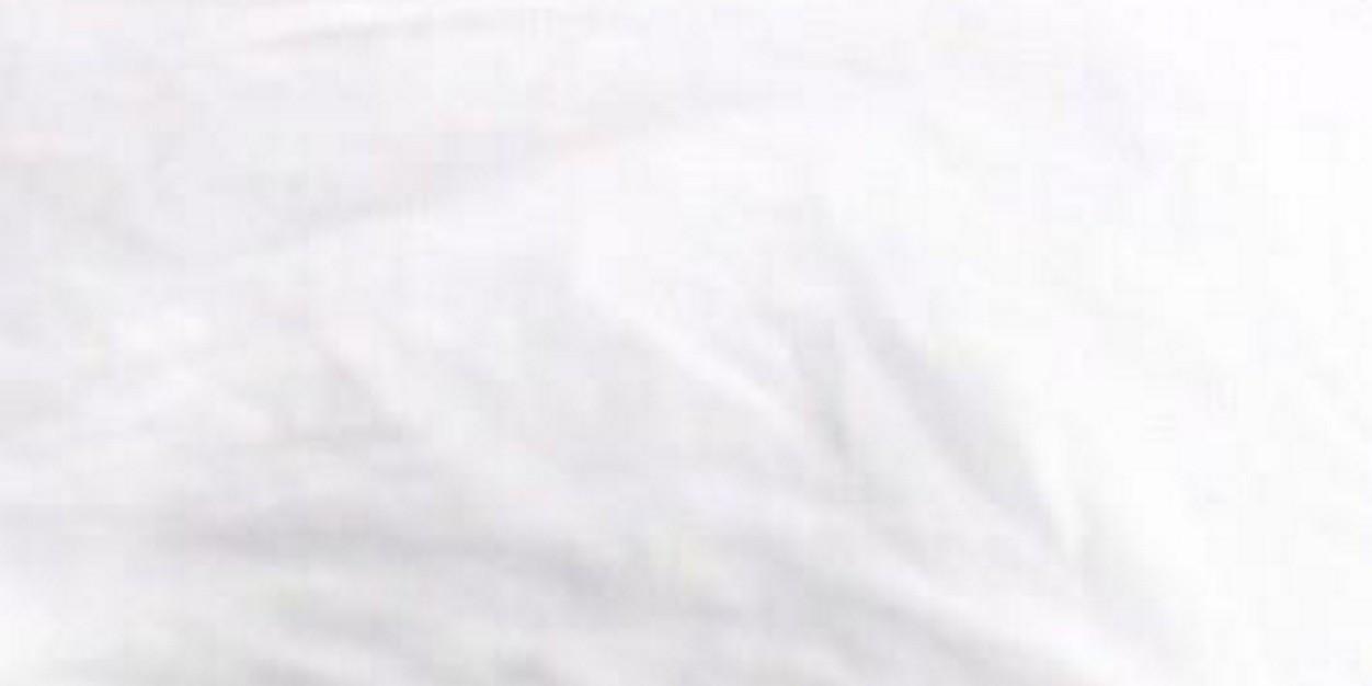 Ethel (rpgmuh) banner