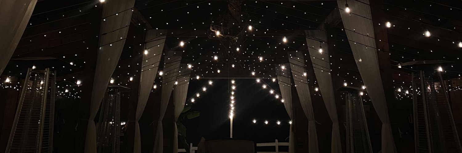 lillydupre's profile banner image