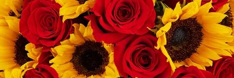 chlooelynn's profile banner image