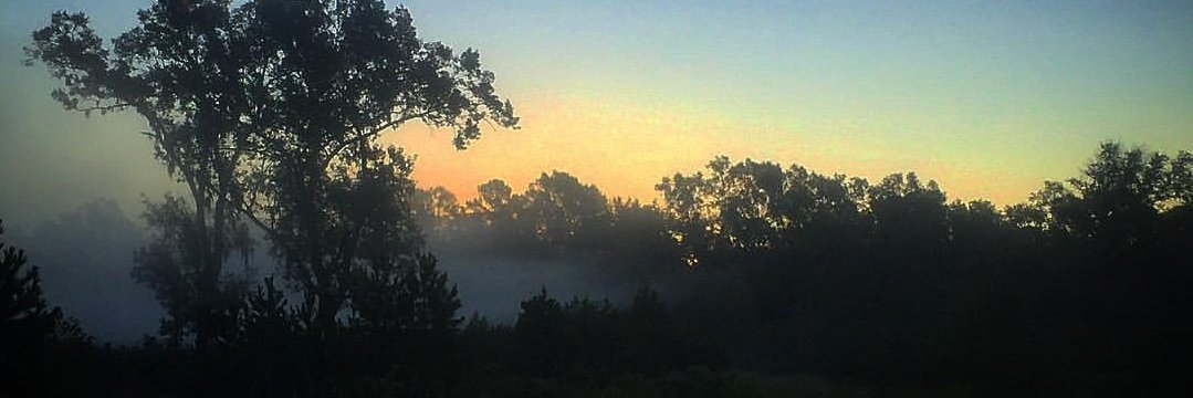 SnarkleRace's profile banner image