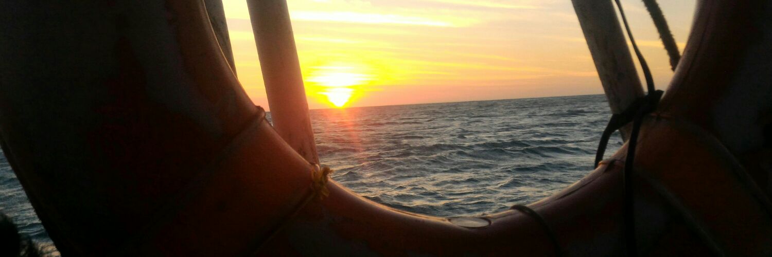 sxxh's profile banner image