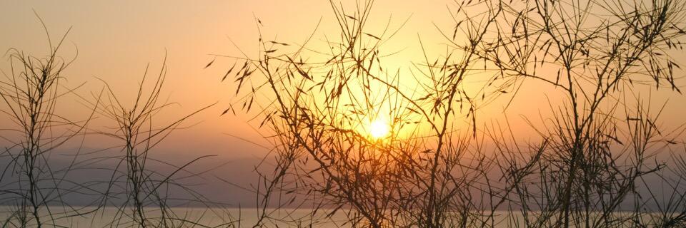 ShaimaaShalash's profile banner image