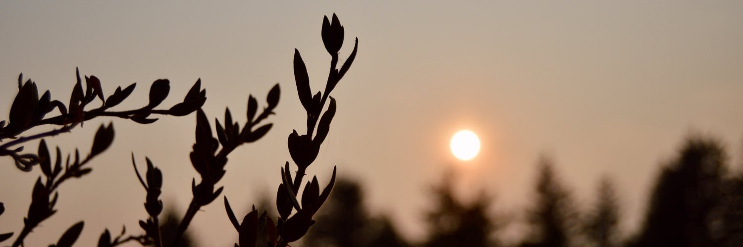 MollyPaugels's profile banner image