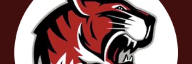 tiger_wr's profile banner image