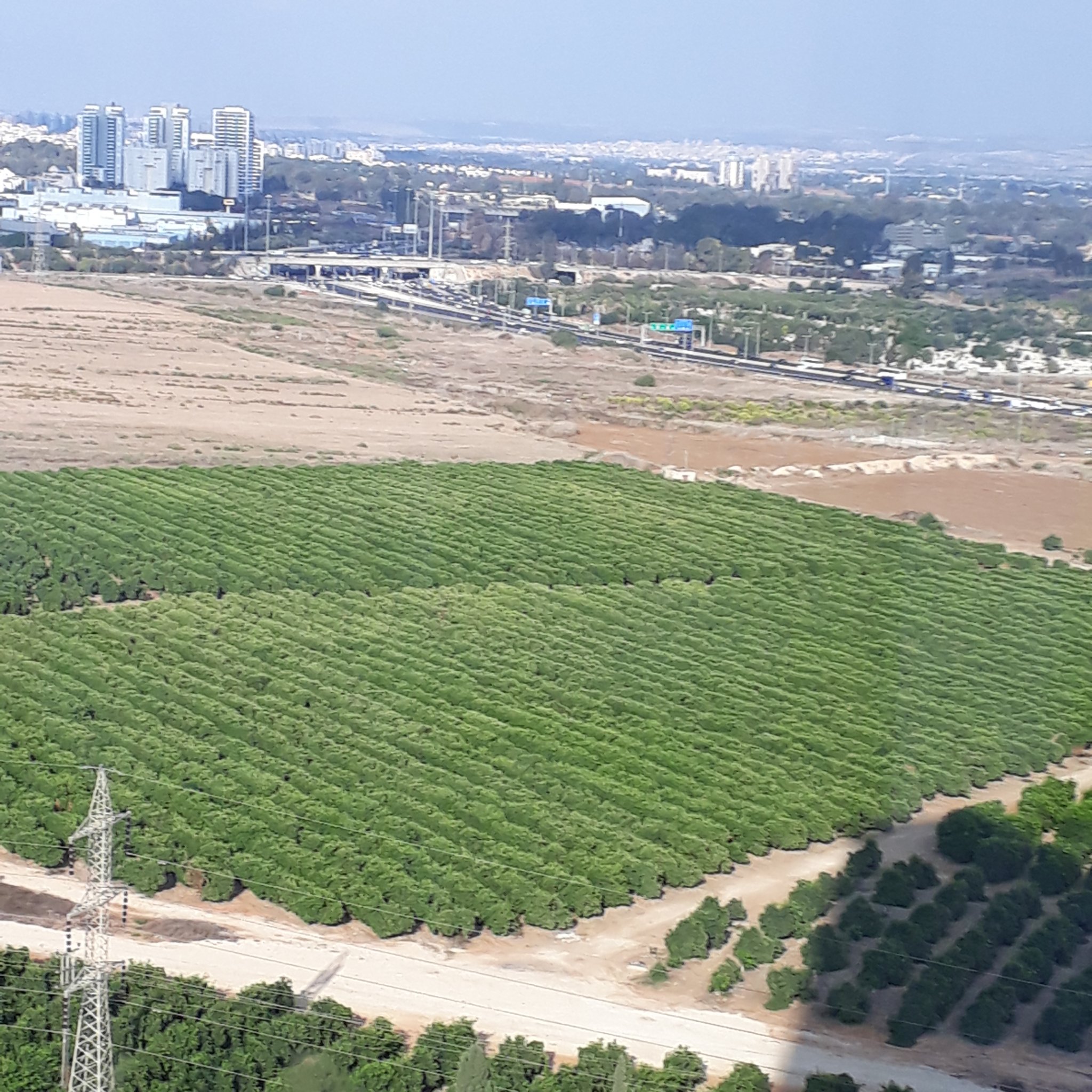 יעקב banner