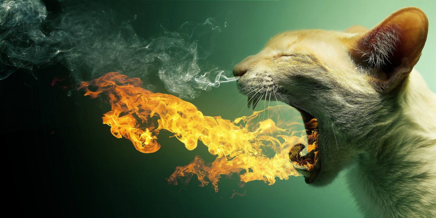 MekanoTheCat's profile banner image