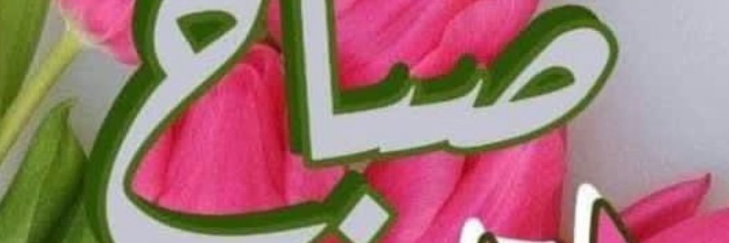 dccff2's profile banner image
