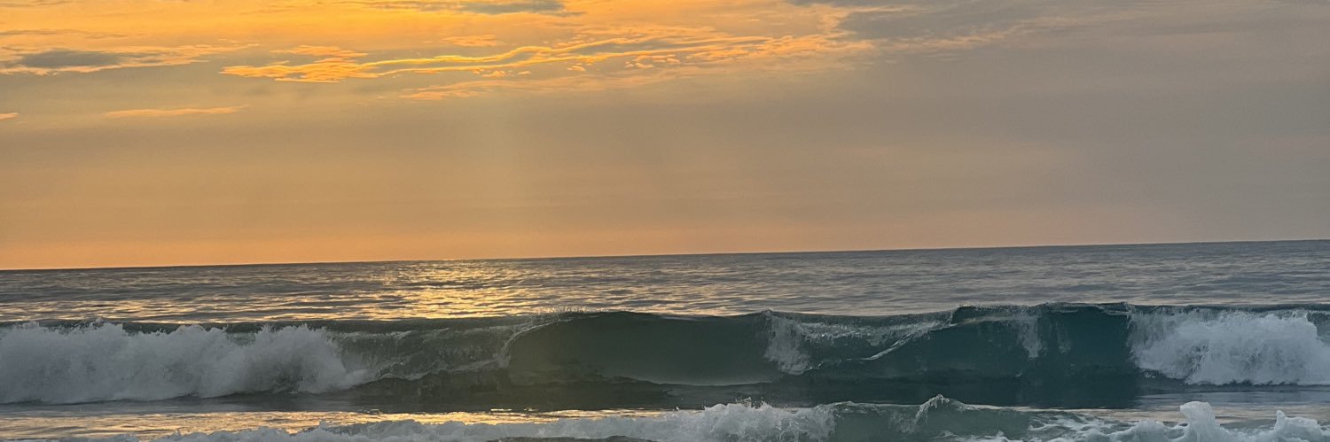 Regis_spam's profile banner image