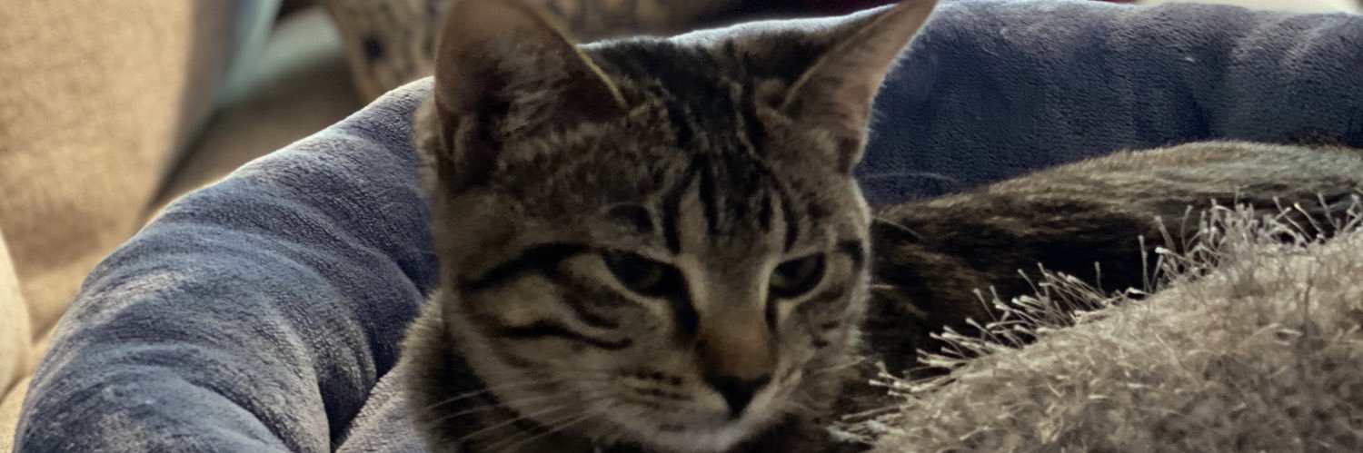 kcw0's profile banner image