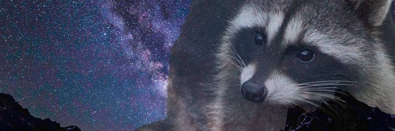 lordracoonus's profile banner image