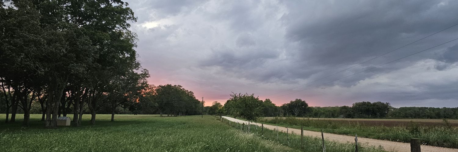 MsMirToledo's profile banner image