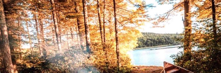 balnamah's profile banner image