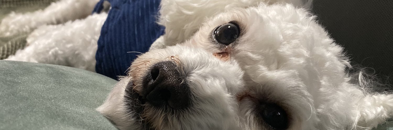 lahh_t's profile banner image