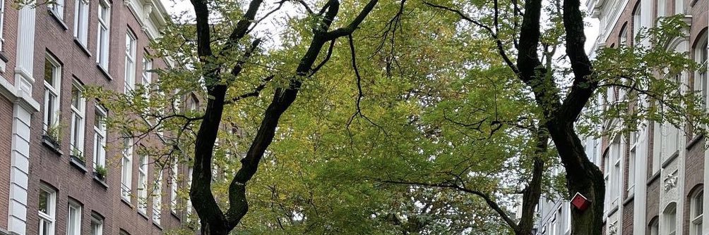 iihllm's profile banner image