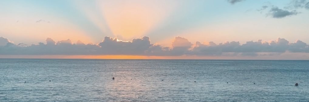 gretchsaurage's profile banner image