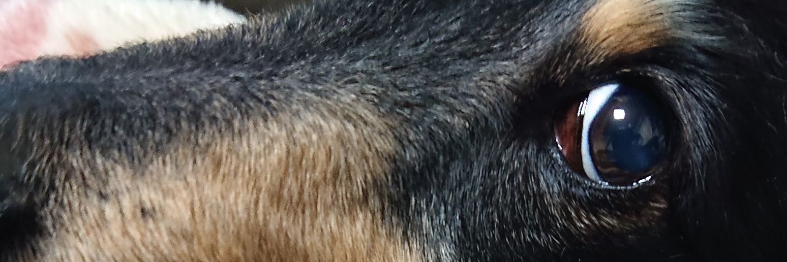SYukky2's profile banner image