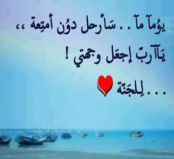 Hl99130885's profile banner image