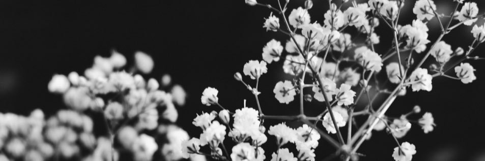 Reinamour's profile banner image