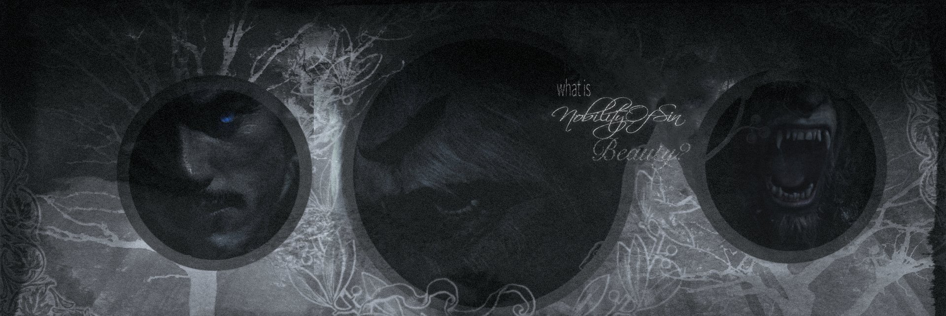 NobilityOfSin's profile banner image