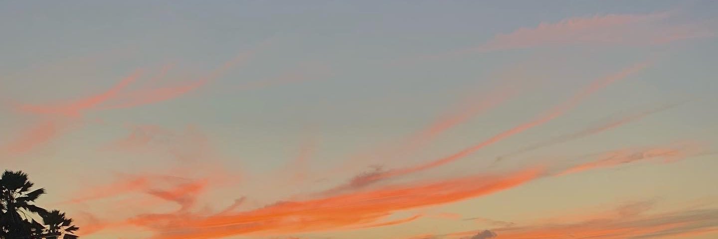 Dkarina526's profile banner image