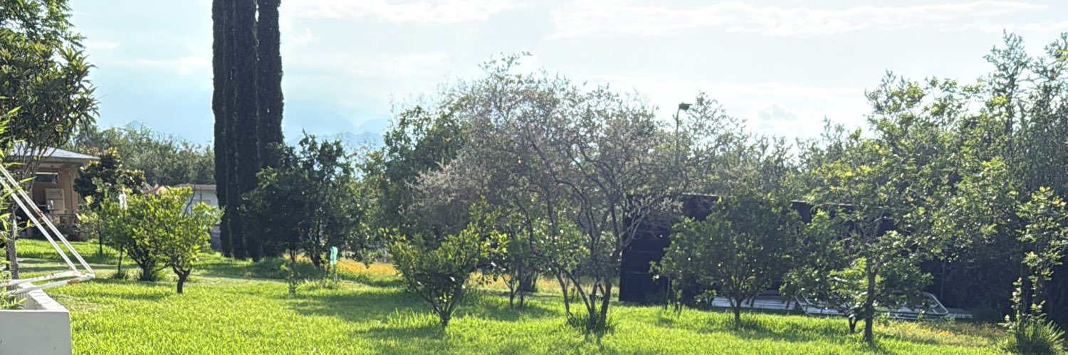 alilermag's profile banner image