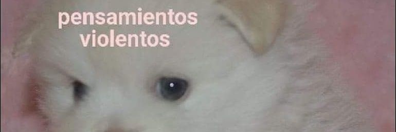 GazparConZ's profile banner image