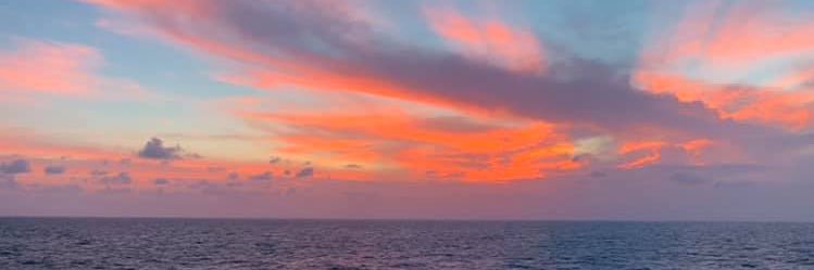Lanne11's profile banner image