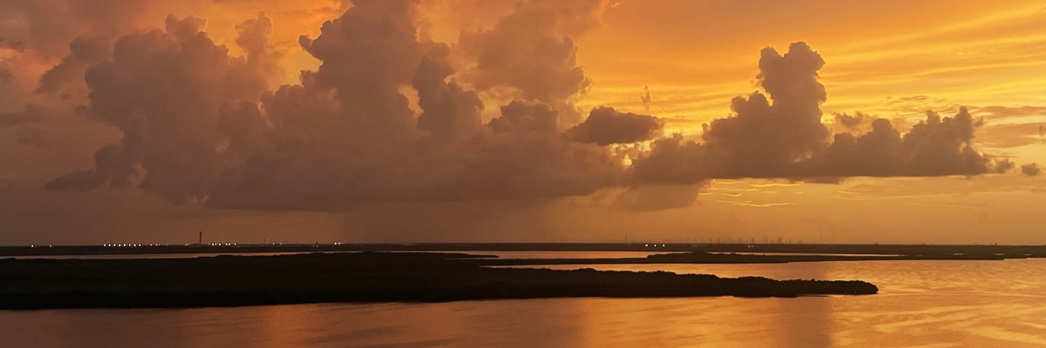AlessaCheritt's profile banner image
