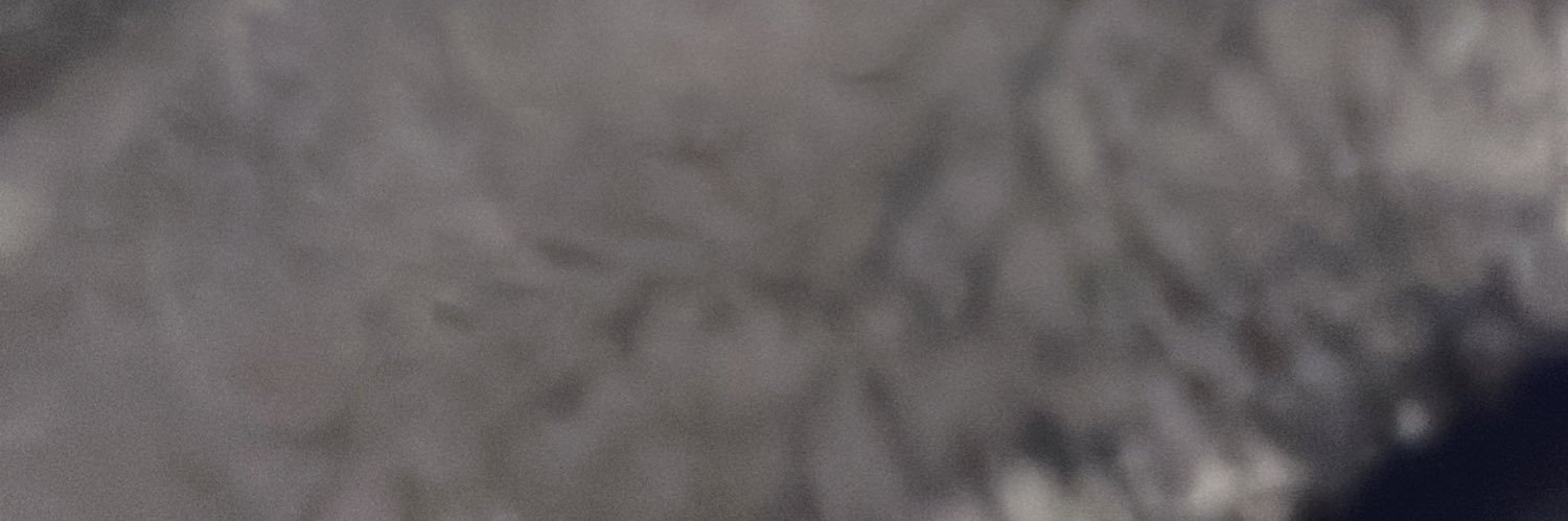 stevefeevo's profile banner image