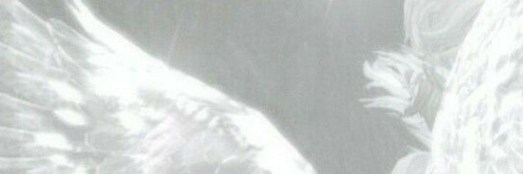 inodoroxs's profile banner image