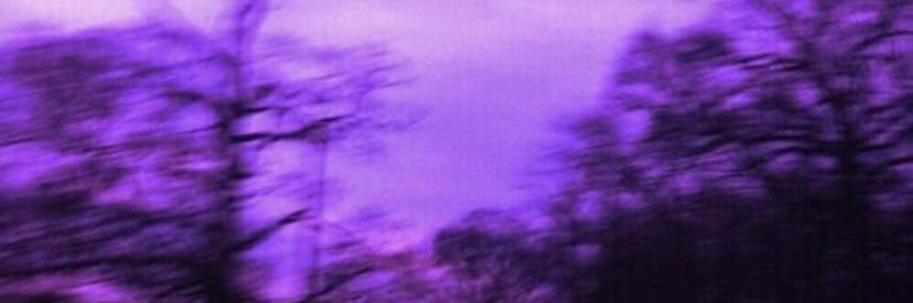 SarahBusch03's profile banner image