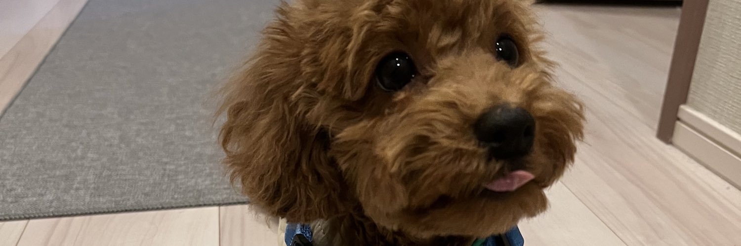peee85's profile banner image