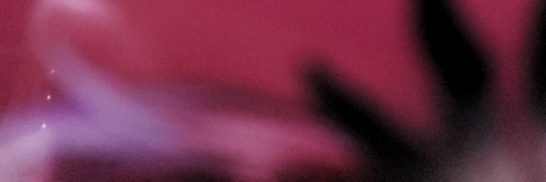 titiceh's profile banner image