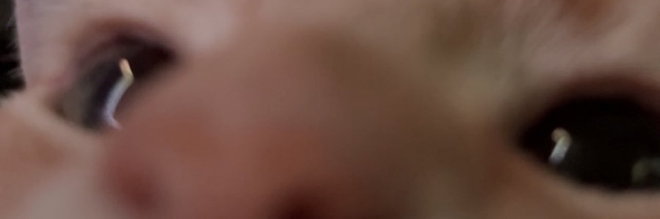 Stella banner
