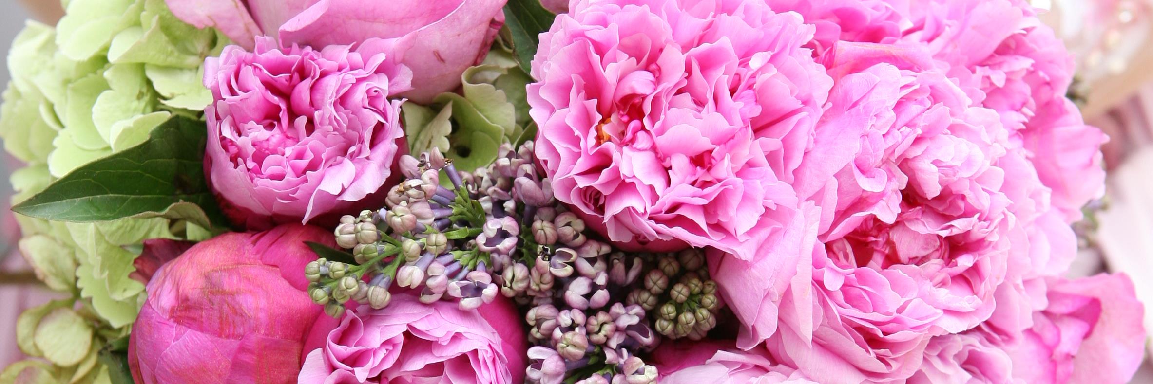 RadiantWedding's profile banner image