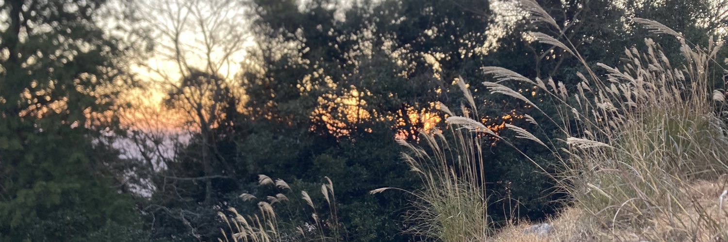 TYOmittsu's profile banner image