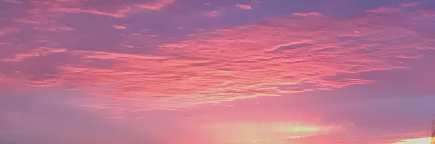 sidneybobo_'s profile banner image