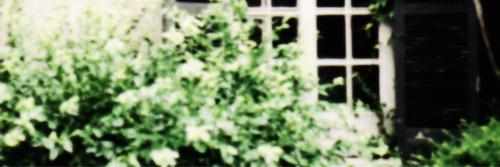 DesireFelicity's profile banner image