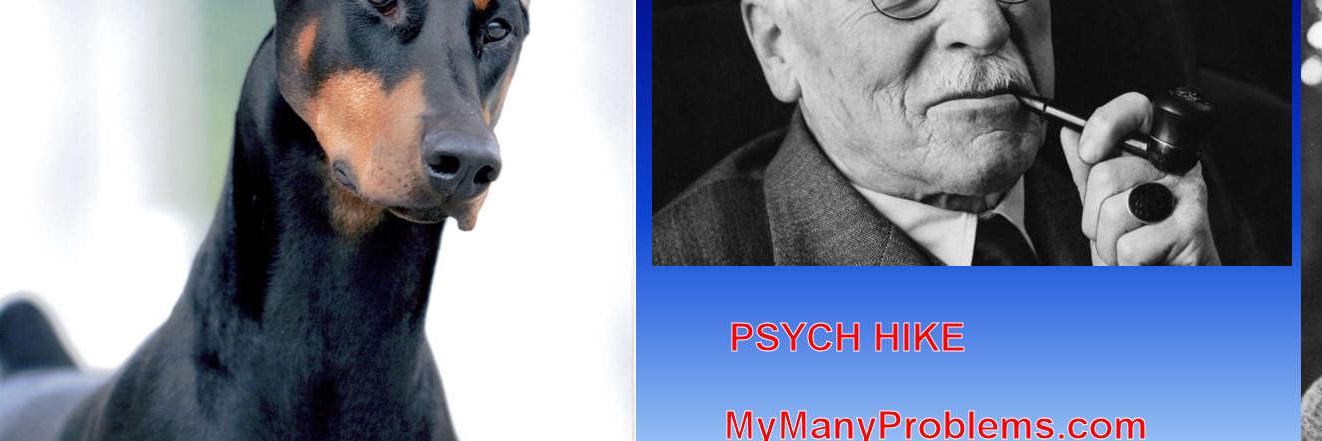 PsychHike's profile banner image