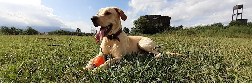 LuchiCanseco_94's profile banner image