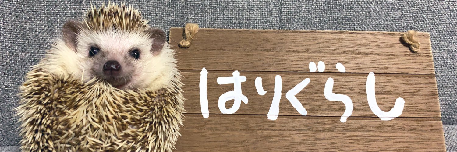 miya_n75's profile banner image