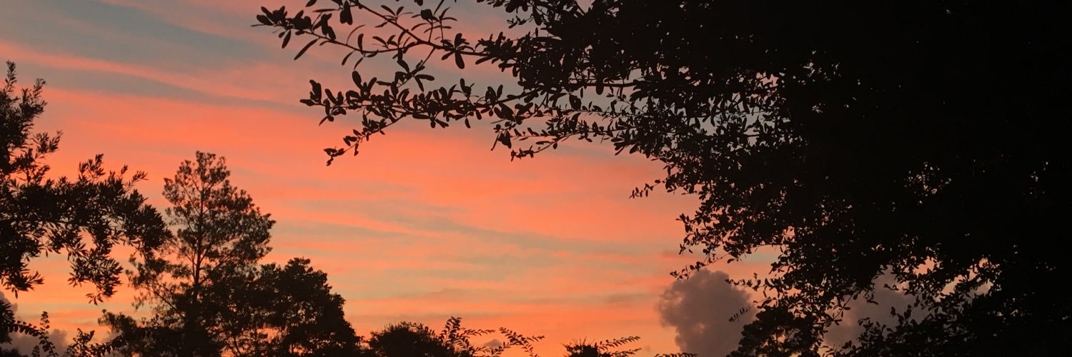 Grantlurix's profile banner image