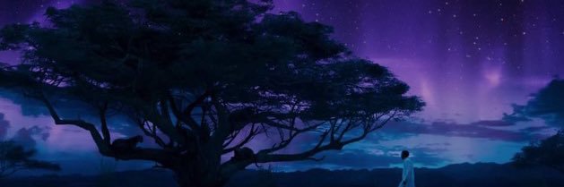 haxils's profile banner image