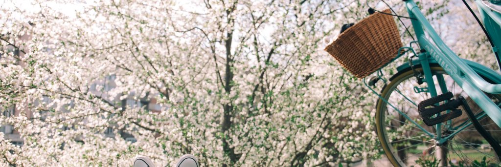 LauraAHicks's profile banner image