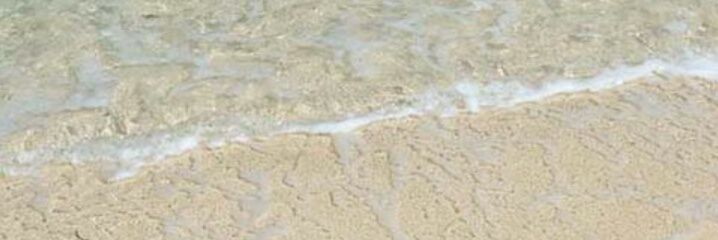 asmaaomar138's profile banner image