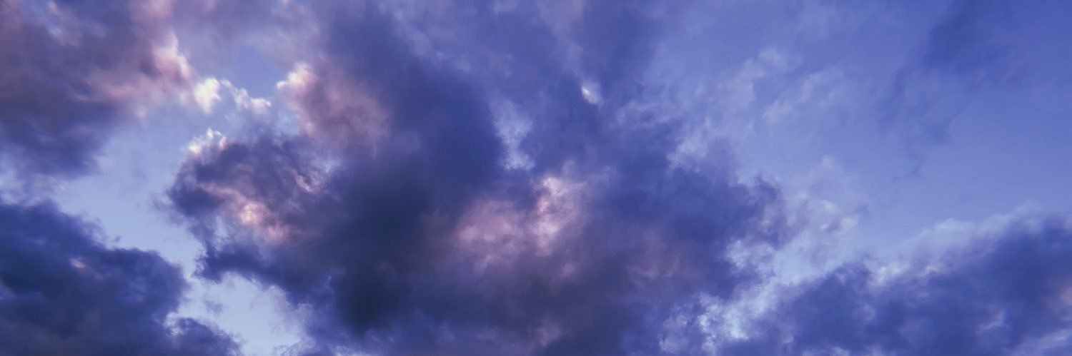 Megan banner